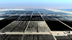 Fig4-Al-Maktoum-solar-farm-UAE