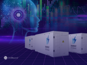 Toll-Floors-Merchant-Models-GridBeyond